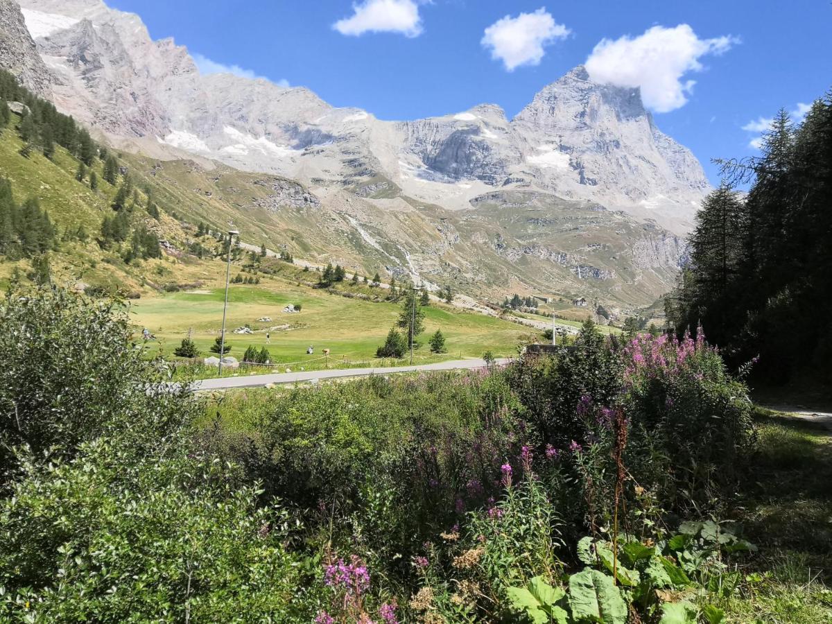 Le Petit Refuge Cervinia Apartman Breuil-Cervinia Kültér fotó