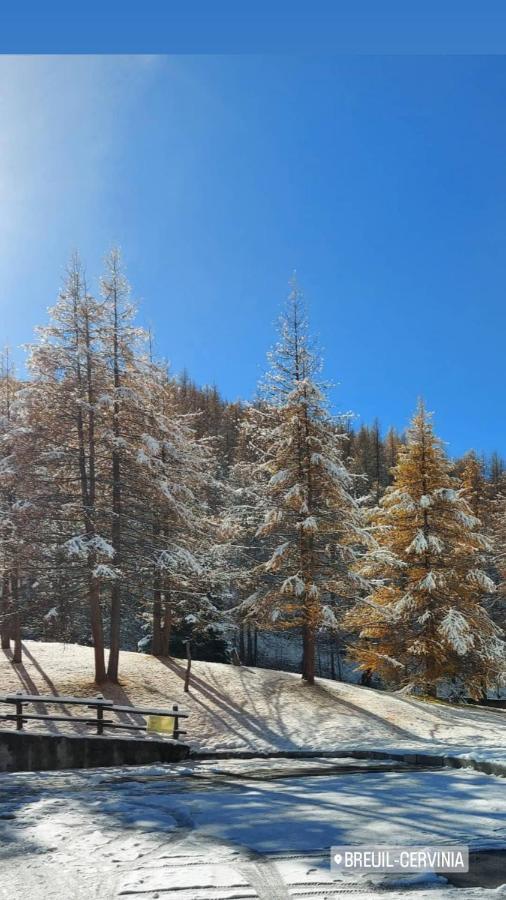 Le Petit Refuge Cervinia Apartman Breuil-Cervinia Kültér fotó